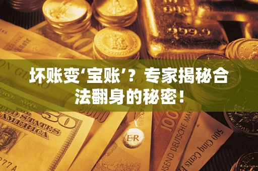 武汉坏账变‘宝账’？专家揭秘合法翻身的秘密！