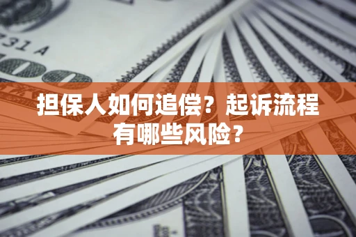武汉担保人如何追偿？起诉流程有哪些风险？