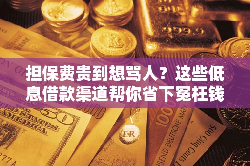 武汉担保费贵到想骂人？这些低息借款渠道帮你省下冤枉钱