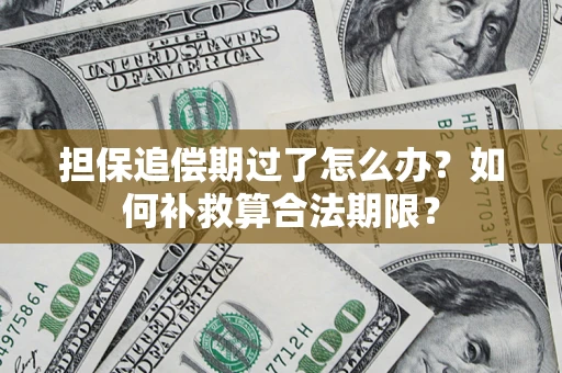 武汉担保追偿期过了怎么办？如何补救算合法期限？