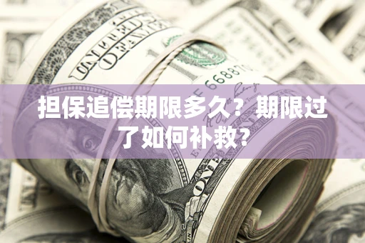 武汉担保追偿期限多久？期限过了如何补救？