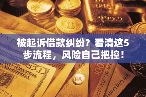 武汉被起诉借款纠纷？看清这5步流程，风险自己把控！